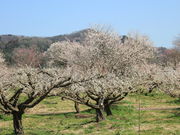 CCꃉC_[̈s~ь̓eʐ^3