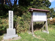 }Cann̓ڈΒnV}xwՂ̓eʐ^1