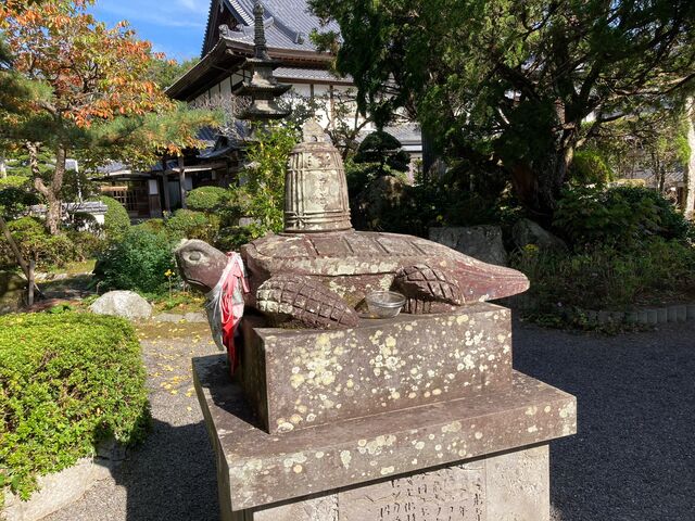 ���ꂪ�T�������ė����Ƃ��������̑��B�{���͂����ŕۊǂ���Ă��邻���ł��B_������