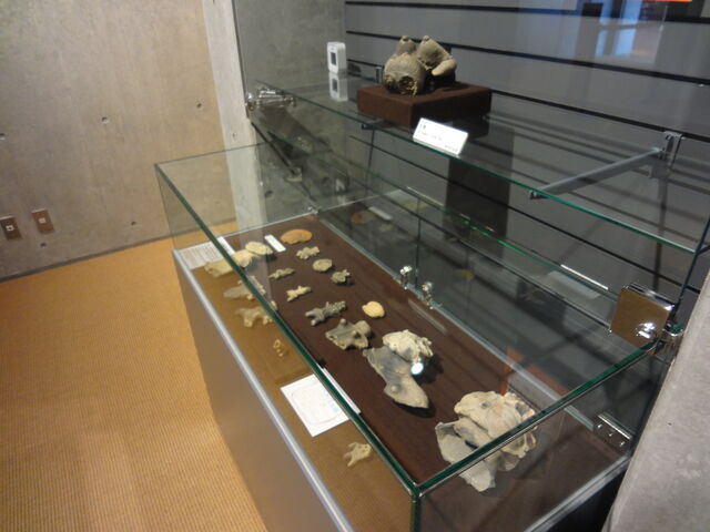 �Ռ���y��_���E��Y�@�䏊��ꕶ����(�䏊����)