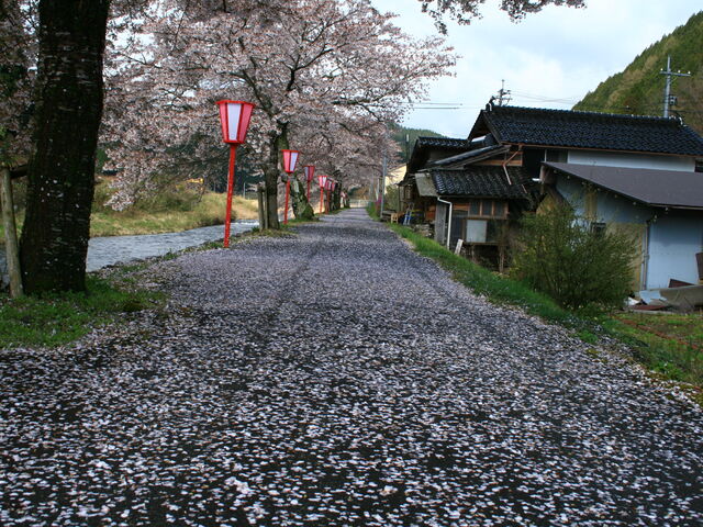 CCꃉC_[̔Ïh̓eʐ^4