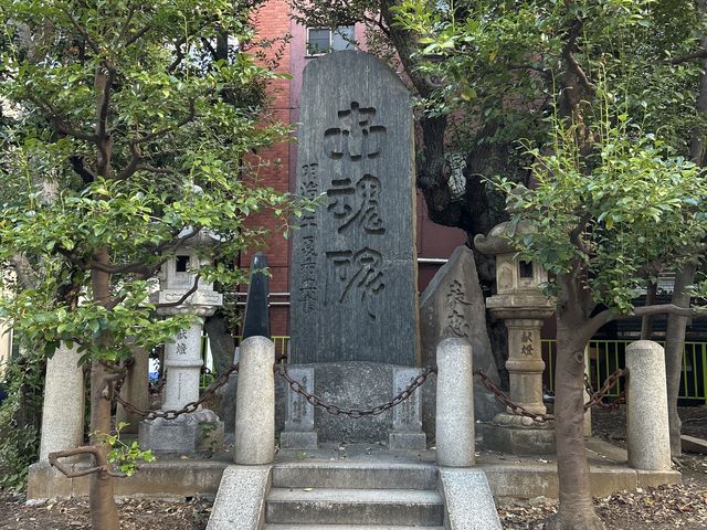 ��e_�\�v����