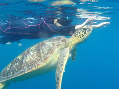 �܂����񂳂�̐Ί_���c�A�[�K�C�h�I�[���u���[�ւ̓��e�ʐ^1