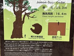 K-coYamakaravւ̓eʐ^1