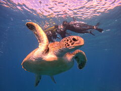 䂫܂Tomorlւ̓eʐ^1