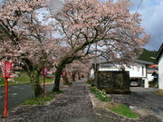 CCꃉC_[̔Ïh̓eʐ^1