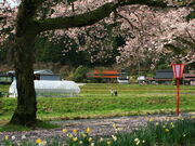 CCꃉC_[̔Ïh̓eʐ^2