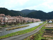 CCꃉC_[̔Ïh̓eʐ^3