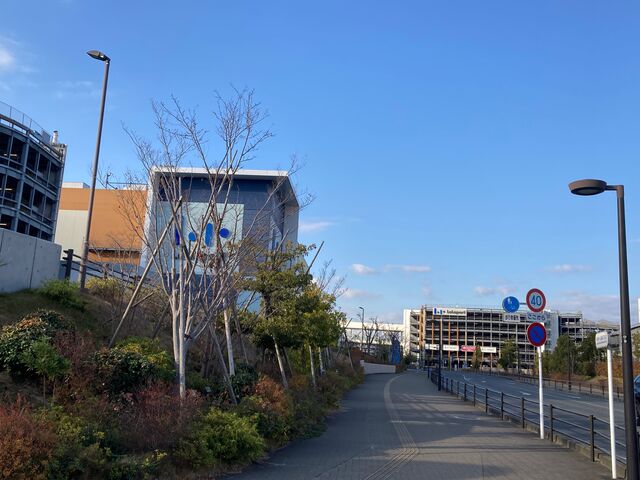 �O��V���b�s���O�p�[�N���ہ[�ƏÓ약��_�O��V���b�s���O�p�[�N ���ہ[�ƏÓ약��