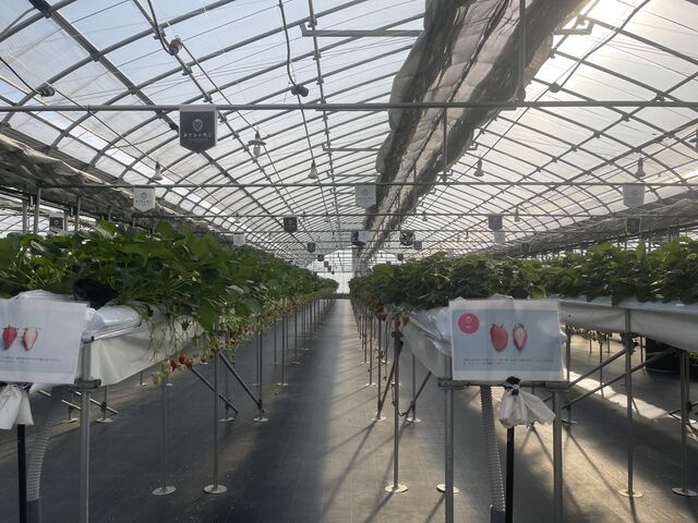 広くて快適_ロックファーム京都(あざといちごハウス)