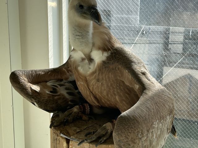 �����ڂ������̃n�Q���V����I_�ӂꂠ���J�t�F ���ӂ肱����