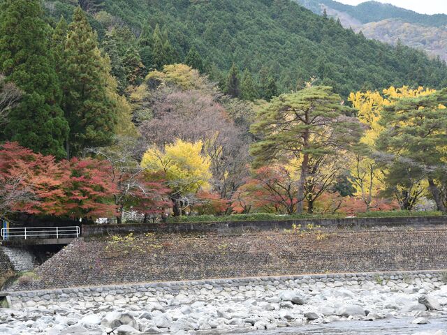 �g�t�ɂ͏��X�x�������ł������A�r���F�t�����؁X�������ʐ^���p�`���B_��ː�