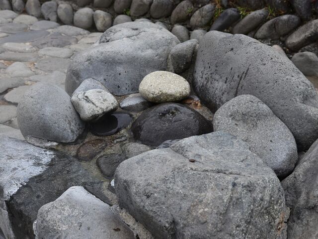 ���C�w����k�������u���C�勴�v�̂����Ƃɂ���܂��B_����r