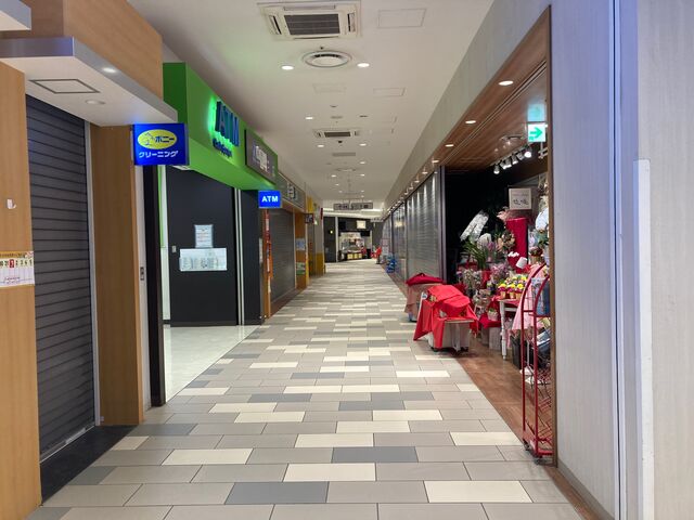 �O��V���b�s���O�p�[�N���ہ[�ƏÓ약��_�O��V���b�s���O�p�[�N ���ہ[�ƏÓ약��