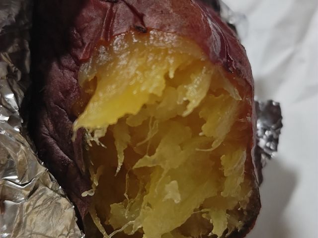 Ղŏ_炩ĔI_bNt@[s(ƂnEX)