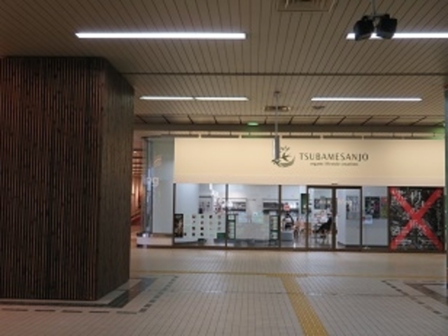 �w���̉��O��Wing_���O��Wing