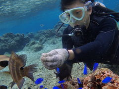 Nuheat̐̓A@Dive@ւ̓eʐ^2