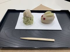 ۂ񂳂̓{̌ ansւ̓eʐ^1