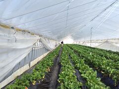 񂿂񂳂̃tBI[ 2ndnEXւ̓eʐ^1