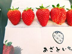 �����}�}����̃��b�N�t�@�[�����s(�����Ƃ������n�E�X)�ւ̓��e�ʐ^1