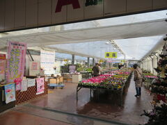 L̓̉w Ԗɂւ̓eʐ^1