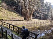 �R������̎���̑�J�c���̓��e�ʐ^1