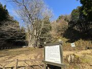 �R������̎���̑�J�c���̓��e�ʐ^2