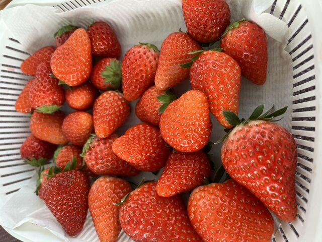 pӂĂĂ_܂ƃt@[@I[nEX