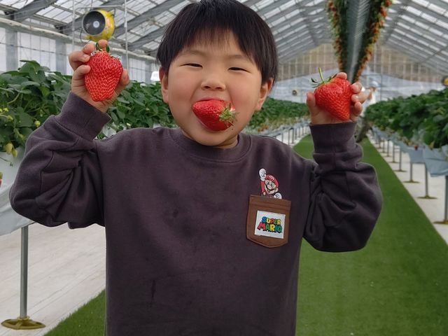 6΂̑q
勻̎O_goone5