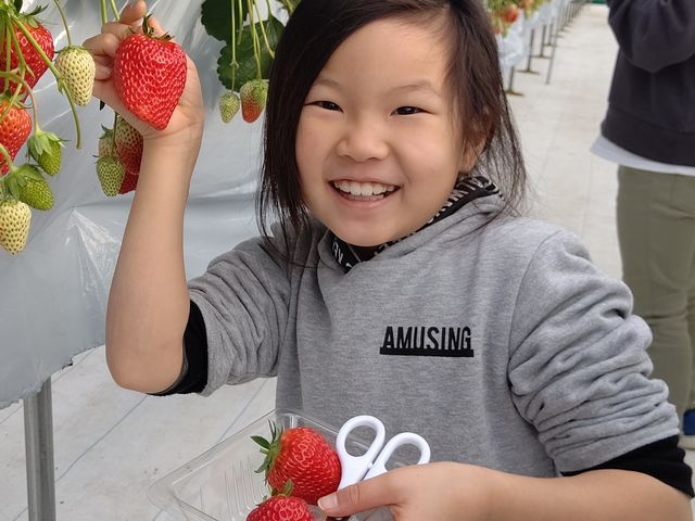 8�΂̖���
�Ў�T�C�Y�ł��I_goone5