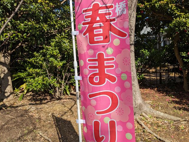 �̂ڂ�_���R�Βn�����̔~