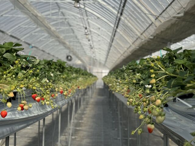 �������A�y���������ł��B���s���܂���_TAiSHi farm