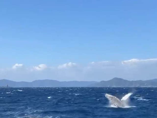 �ڂ̑O�ŃW�����v�I_�_���f���C�I������