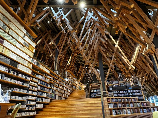 �C��E���Ŗ؂̊��G�������Ȃ���A���z�̔������Ɍ�����܂����B_�_�̏�̐}���فi���������}���فj