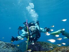 ݁[񂳂̈ɓ_CrOXN[ gbcւ̓eʐ^1