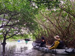 䂸OHCUSΊ_ւ̓eʐ^1