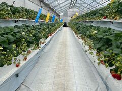 䂤񂳂̂Ԃǂ䕂̏cւ̓eʐ^2