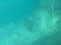 Ă̐eq̂܂͂邭ւ̓eʐ^1