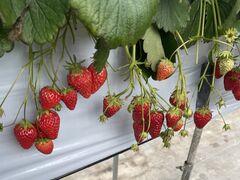 ܁[񂳂̌ct@[ւ̓eʐ^1