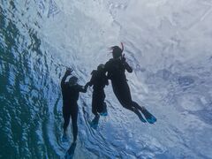 Ђ̃I[X[Vm[P{Óւ̓eʐ^1