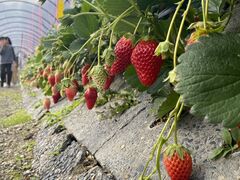 maô܂C`S_ւ̓eʐ^1