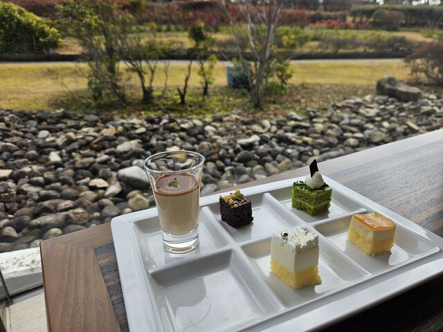 �i�F���y���߂܂��B_�s�z�e���@�򕌒��ǐ�