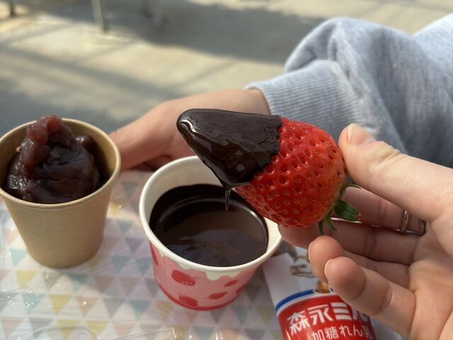 �`���R�g�b�s���O�I�I_�����x���[