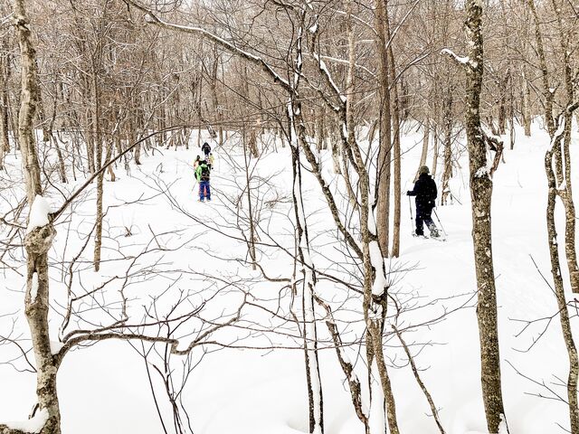 �̗͂̂Ȃ��l�ł����v�ł����B_���������å���֒�J�k�[&�X�m�[�V���[�̌� �i�`�������r�Y �A�N�e�B�r�e�B�X�e�[�V����