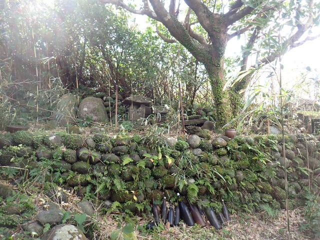 �}�C�a�n�n����̓n�C�_�Ђ̓��e�ʐ^1