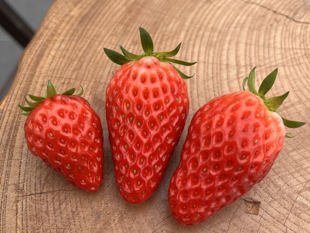 �傫�Ȃ��������珬���Ȃ���������܂������_�������Ȃ��p�N�p�N�H�ׂ�܂����B�w�^����ɔ����Ă܂��I_�����̂������_��