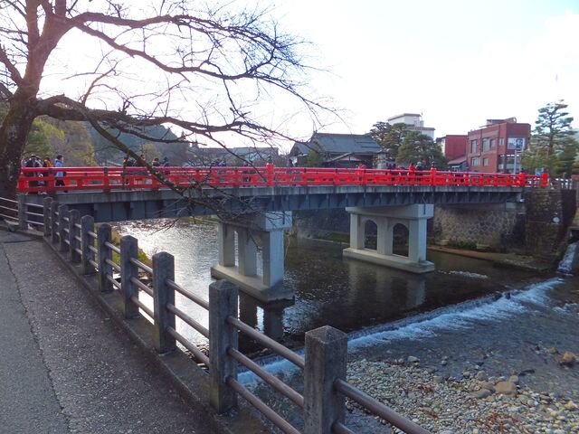 ~͂̋G߂ł吨̊όqnĂ܂_