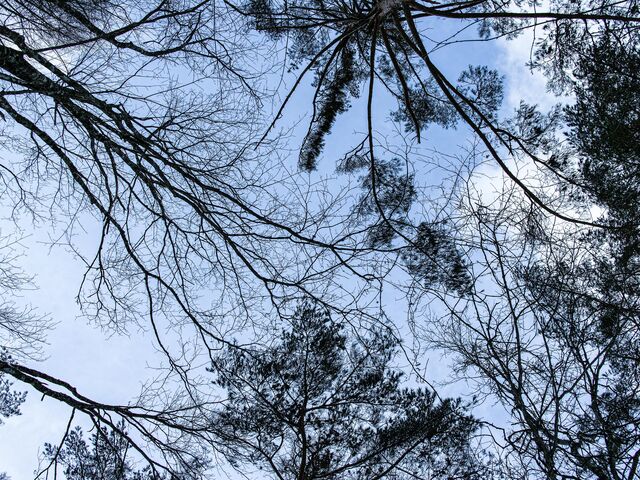 �X���Đ��������l�����̋�J���Â΂�܂�_���������å���֒�J�k�[&�X�m�[�V���[�̌� �i�`�������r�Y �A�N�e�B�r�e�B�X�e�[�V����