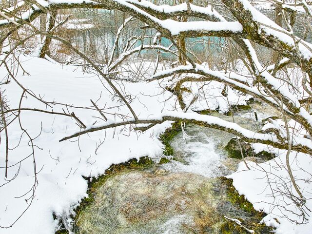 �Â��ȌΔȂɗ���鏬��H_���������å���֒�J�k�[&�X�m�[�V���[�̌� �i�`�������r�Y �A�N�e�B�r�e�B�X�e�[�V����