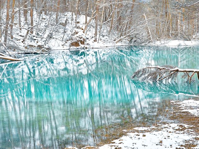 ���ꂢ�ȐF�ł���_���������å���֒�J�k�[&�X�m�[�V���[�̌� �i�`�������r�Y �A�N�e�B�r�e�B�X�e�[�V����